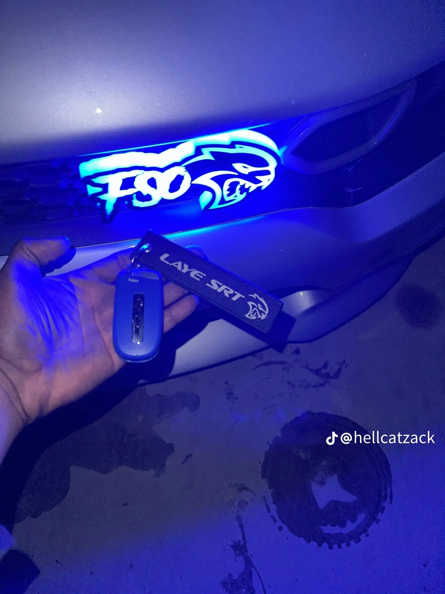 CUSTOM MADE led rgb emblem