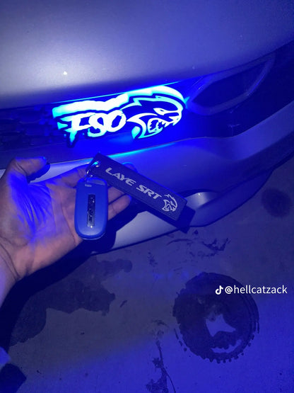 CUSTOM MADE led rgb emblem