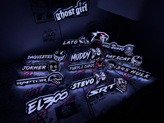 CUSTOM MADE led rgb emblem