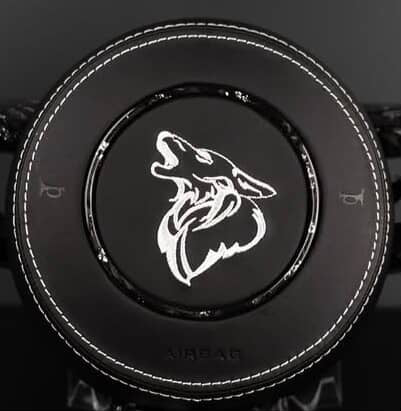 Custom coyote airbag cover